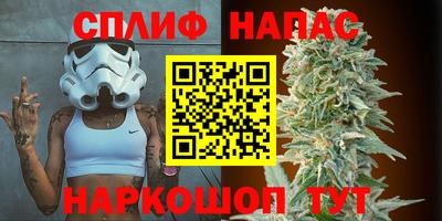 молекула духа Балахна