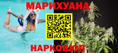 шишки Балашиха