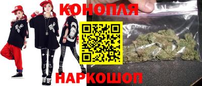 шишки Балашиха