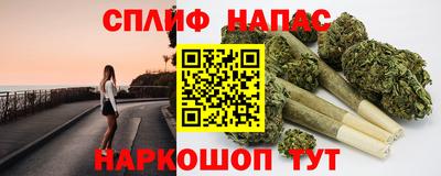 шишки Балашиха