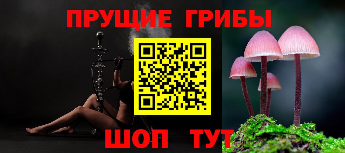 Галлюциногенные грибы Magic Shrooms Елизово