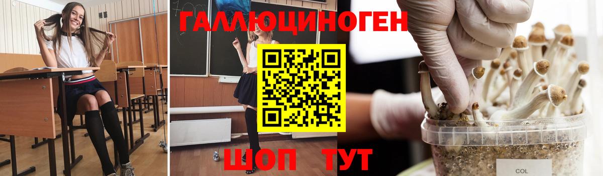 Галлюциногенные грибы мицелий  Вход с VPN  Елизово  Галлюциногенные грибы Psilocybine cubensis 